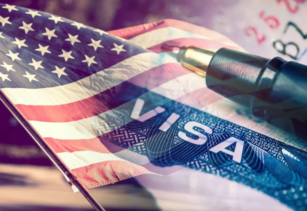 US Job Offer Visa
